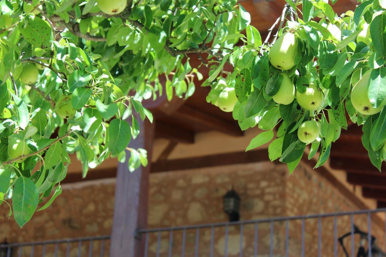 Complejo Rural La Coronilla Guest House Jarandilla de la Vera Ngoại thất bức ảnh